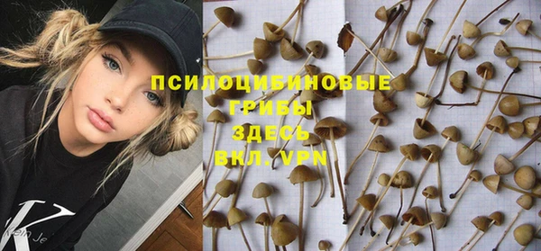 крисы Верея