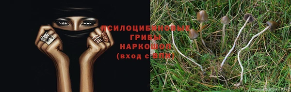 наркотики Волоколамск