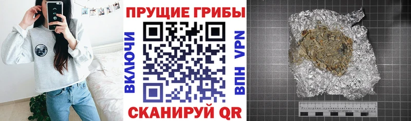 Галлюциногенные грибы мухоморы  ОМГ ОМГ зеркало  Зима 